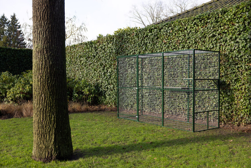 Kattenren in de tuin met een groene haag op de achtergrond